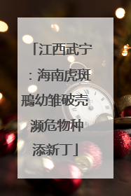 江西武宁：海南虎斑鳽幼雏破壳 濒危物种添新丁