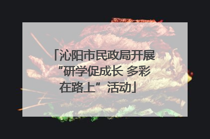 沁阳市民政局开展“研学促成长 多彩在路上”活动