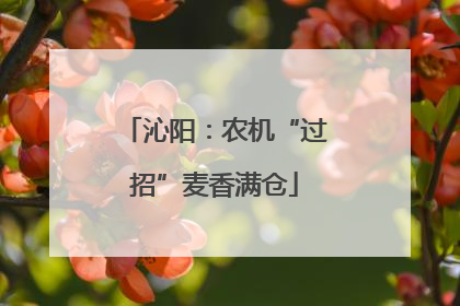沁阳：农机“过招”麦香满仓
