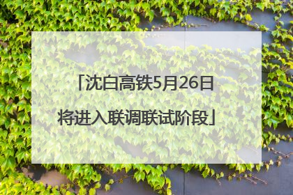 沈白高铁5月26日将进入联调联试阶段