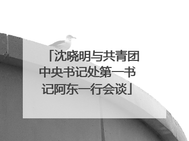 沈晓明与共青团中央书记处第一书记阿东一行会谈