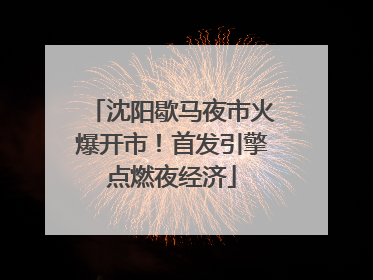 沈阳歇马夜市火爆开市！首发引擎点燃夜经济