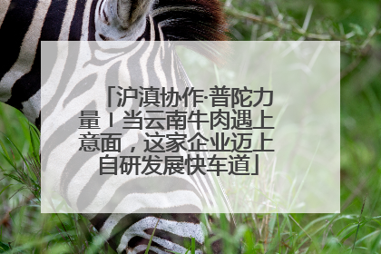 沪滇协作·普陀力量〡当云南牛肉遇上意面，这家企业迈上自研发展快车道