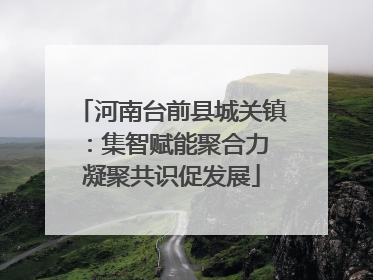 河南台前县城关镇：集智赋能聚合力 凝聚共识促发展