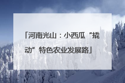 河南光山：小西瓜“撬动”特色农业发展路