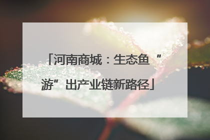 河南商城：生态鱼“游”出产业链新路径