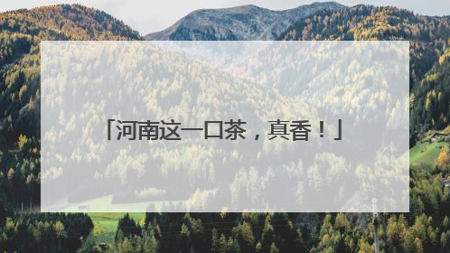 河南这一口茶，真香！