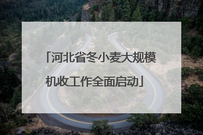 河北省冬小麦大规模机收工作全面启动