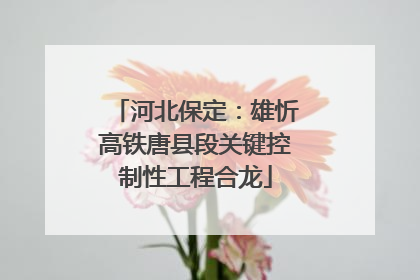河北保定：雄忻高铁唐县段关键控制性工程合龙