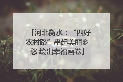 河北衡水：“四好农村路”串起美丽乡愁 绘出幸福画卷