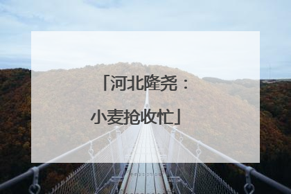 河北隆尧：小麦抢收忙
