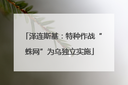 泽连斯基：特种作战“蛛网”为乌独立实施