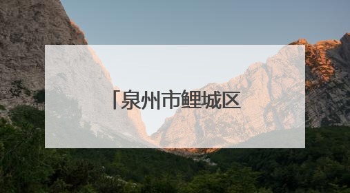 泉州市鲤城区电子信息产业链党委揭牌成立