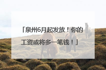 泉州6月起发放！你的工资或将多一笔钱！