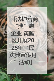 法护营商 “典”惠企业 黄陂区开展2025年“民法典宣传月”活动