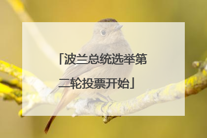 波兰总统选举第二轮投票开始