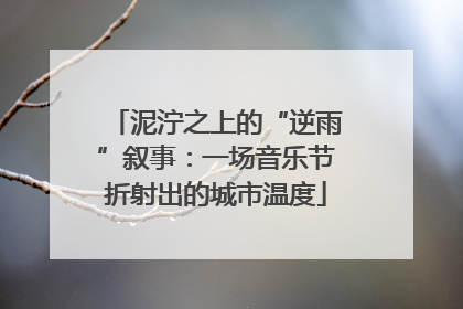 泥泞之上的“逆雨”叙事：一场音乐节折射出的城市温度