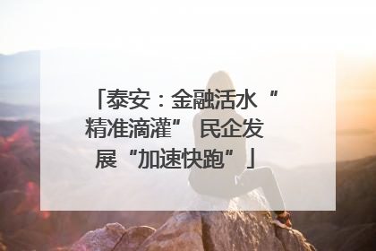 泰安：金融活水“精准滴灌” 民企发展“加速快跑”