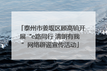 泰州市姜堰区顾高镇开展“e路同行 清朗有我”网络辟谣宣传活动