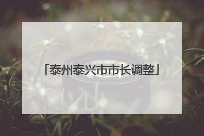 泰州泰兴市市长调整