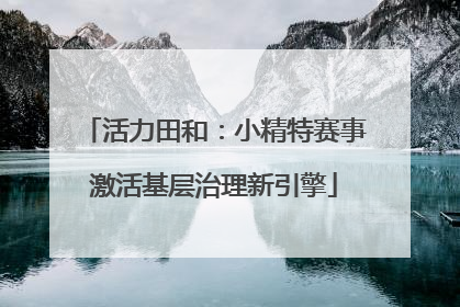 活力田和：小精特赛事激活基层治理新引擎
