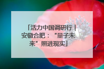 活力中国调研行｜安徽合肥：“量子未来”照进现实