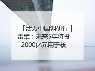 活力中国调研行｜雷军：未来5年将投2000亿元用于核心技术研发