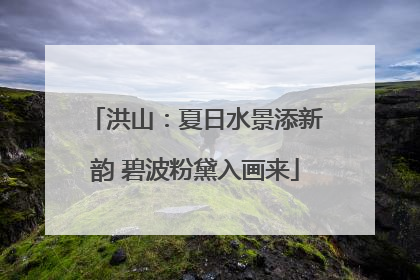 洪山：夏日水景添新韵 碧波粉黛入画来