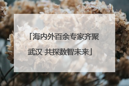 海内外百余专家齐聚武汉 共探数智未来