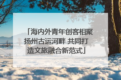 海内外青年创客相聚扬州古运河畔 共同打造文旅融合新范式