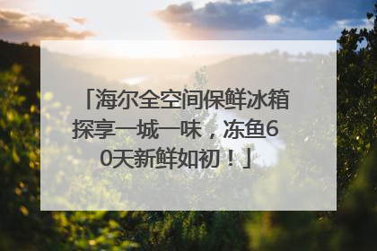 海尔全空间保鲜冰箱探享一城一味，冻鱼60天新鲜如初！
