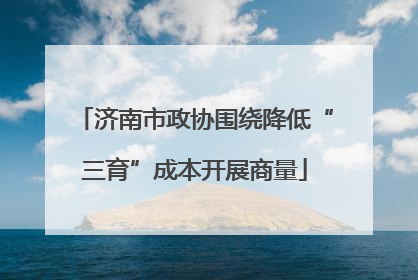 济南市政协围绕降低“三育”成本开展商量