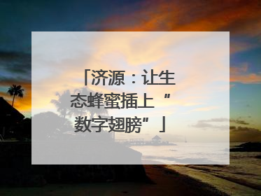 济源：让生态蜂蜜插上“数字翅膀”
