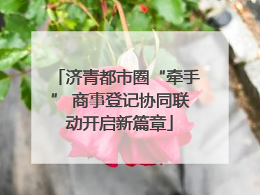 济青都市圈“牵手” 商事登记协同联动开启新篇章