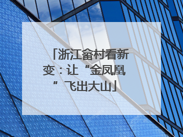 浙江畲村看新变：让“金凤凰”飞出大山