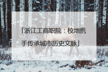 浙江工商职院：校地携手传承城市历史文脉