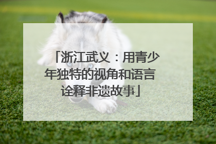 浙江武义：用青少年独特的视角和语言诠释非遗故事