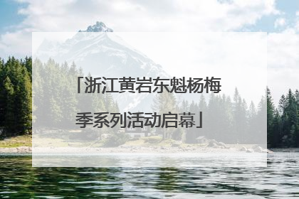 浙江黄岩东魁杨梅季系列活动启幕
