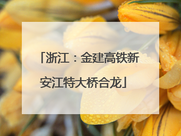 浙江：金建高铁新安江特大桥合龙