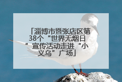 淄博市暨张店区第38个“世界无烟日”宣传活动走进“小义乌”广场