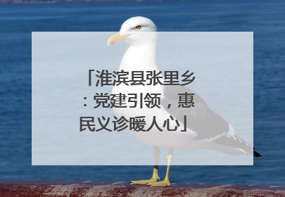 淮滨县张里乡：党建引领，惠民义诊暖人心