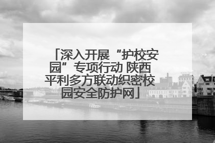深入开展“护校安园”专项行动 陕西平利多方联动织密校园安全防护网