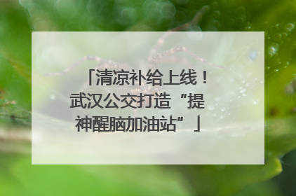 清凉补给上线！武汉公交打造“提神醒脑加油站”