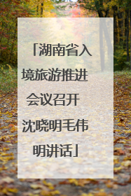 湖南省入境旅游推进会议召开 沈晓明毛伟明讲话