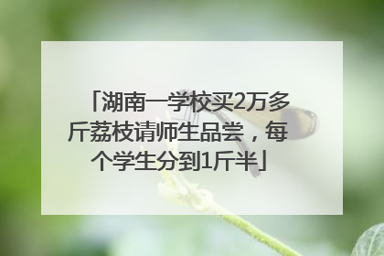 湖南一学校买2万多斤荔枝请师生品尝，每个学生分到1斤半