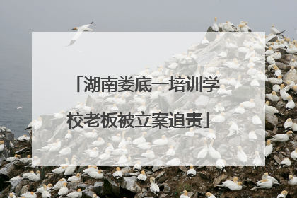 湖南娄底一培训学校老板被立案追责