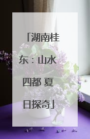 湖南桂东：山水四都 夏日探奇