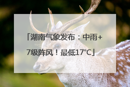 湖南气象发布：中雨+7级阵风！最低17℃