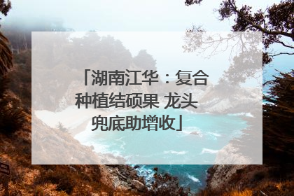 湖南江华：复合种植结硕果 龙头兜底助增收