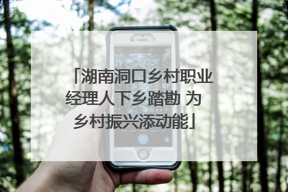 湖南洞口乡村职业经理人下乡踏勘 为乡村振兴添动能